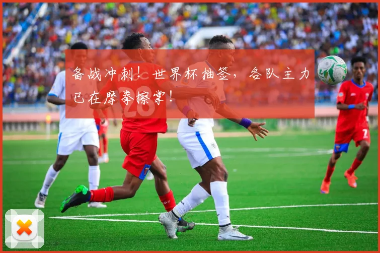 备战冲刺!世界杯抽签,各队主力已在摩拳擦掌!